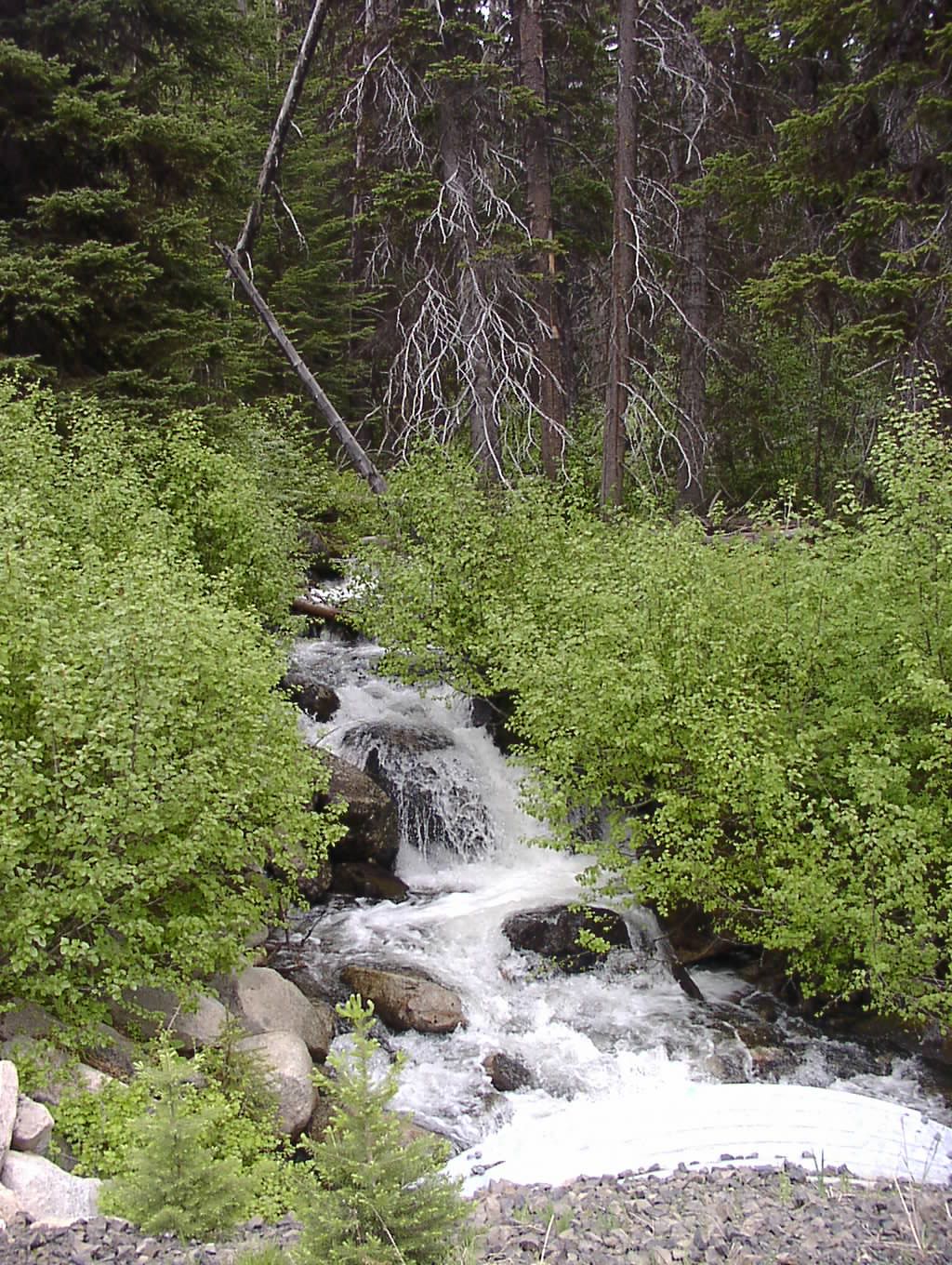 Forest Service applying for state rec grant funding